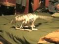 a dinosoars Craving