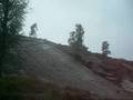videos de THE SLAB