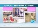 Colère en ligne pour cause de corruption dans l\ Colère en ligne pour cause de corruption dans l\