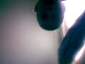 mc dulay mc dulay