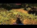Risen-Pc-Battle-Game