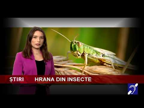 Clarificări privind hrana din insecte
