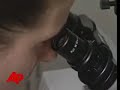 Thumbnail #2
