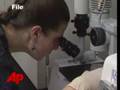 Norovirus Strikes Cruise Passengers, Crew