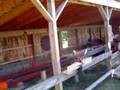 Sawmill of Nineteenth Century