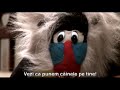 suie paparude   a fost odata