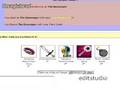 Neopets battledome