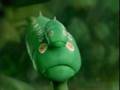 Poor caterpillar