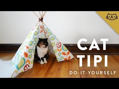 tipi Model