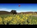 Spirit of Women - Super Foods
