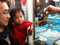 Chloe & Crab