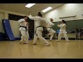 Goju Ryu Karate Do, one step sparring