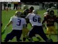 Troy Polamalu Troy Polamalu