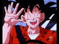 Funereal about Son Goku Funereal about Son Goku
