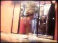 Mackasha compilation