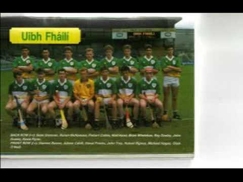 Offaly Hurling - Those Were The Days !