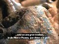 Entrevista a Dore Ashton a Barcelona