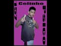 vagner  bonde do arara