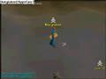 runescape non member pking