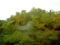 tabasco,MEXICO,cerca de los pantanos de centla tabasco,MEXICO,cerca de los pantanos de centla