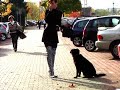 stiletto thigh high boot clipmix **allday  fetish stylez