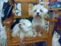 videos de NUESTROS AMIGOS