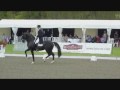 Classical versus Modern Dressage