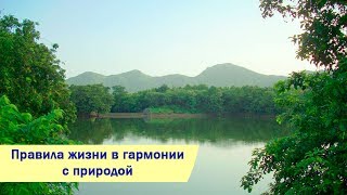 Правила жизни в гармонии с Природой