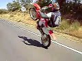 malhos-de-mota.html
