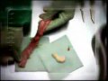 香煙因品牌、產地、生產批�...