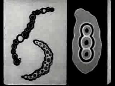 The Films Of Len Lye