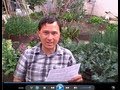 Can I Compost Oranges and Other Citrus Fruits & More Organic Gardening Q&A