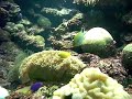 Undersea world,Langkawi