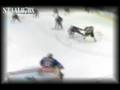 New York Rangers 2008-09: This Is Our Year