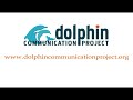 Dolphin blows a bubble cloud