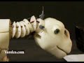 Pleo, the early days. Clip 10