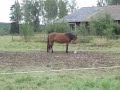 Tyra p� betet...