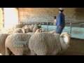 IWTO International Wool Textile Organisation - Wool Film