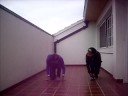 A ver si pueden (by: niki y flor)
