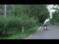 三戸広域道　V twin sound VS dog