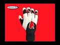 v1.08 - Torwarthandschuh von Puma