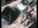 Imagen de previsualización de YouTube