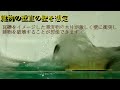 Click here to watch this video 逆さ船型船形津波シェルターと建物 同時比較再生（車、瓦礫）.m2ts
