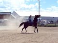 Barrel racing Barrel racing