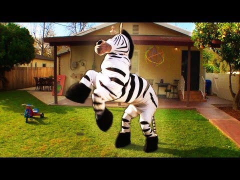 how to draw zebra t shirt