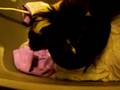 videos de gasping chicken