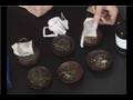 Loose Leaf Tea vs. Tea Bags : Buying Loose Leaf Tea