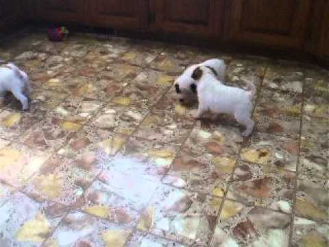 leslie and her sisters playing
