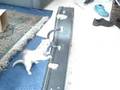 videos de Ferret Tries to Steal a Banjo....