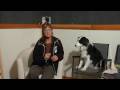 pet barking, dog training tips, proper training of dogs